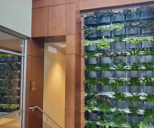 Commercial Millwork & Casework Commercial Millwork & Casework